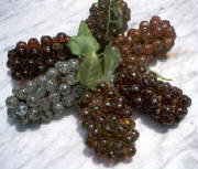 grape_clusters.jpg